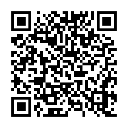 QR code for 493HGZ
