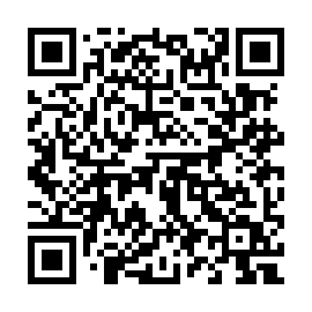 QR code for 493MIT