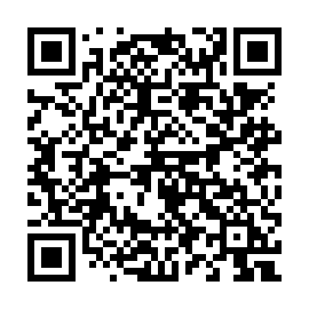 QR code for 493NEI