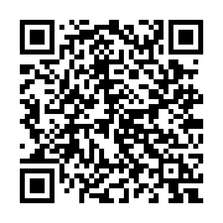 QR code for 493PGH