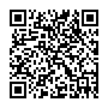 QR code for 493PME