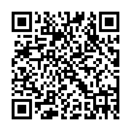 QR code for 493QQZ
