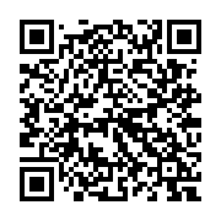 QR code for 493UJG