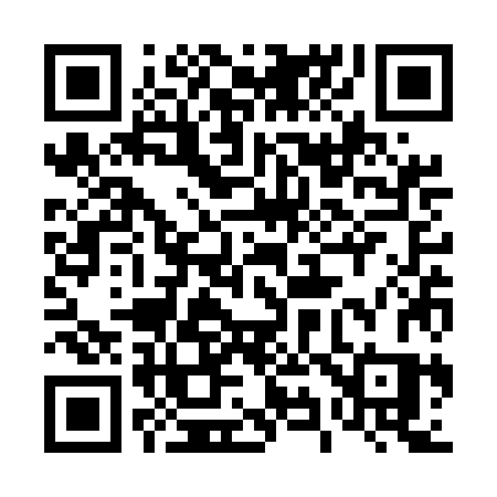 QR code for 493UJS