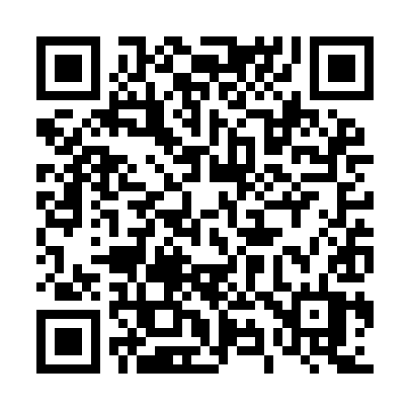 QR code for 493YIT