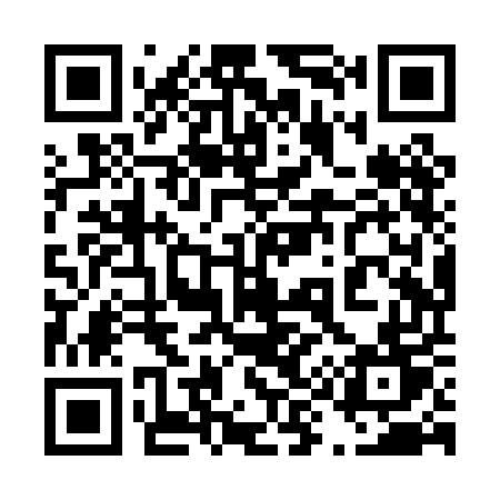 QR code for 498PET