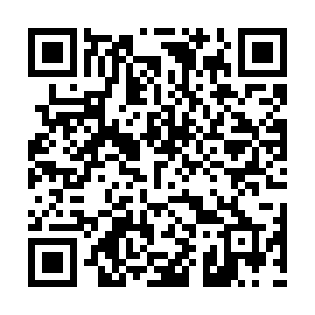 QR code for 498WBP