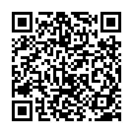 QR code for 499CHI