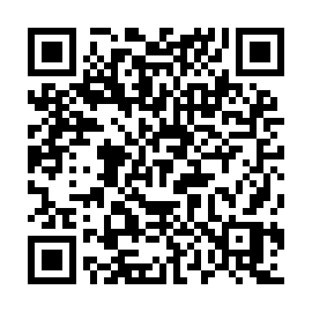 QR code for 500IFR