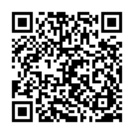 QR code for 509IJC