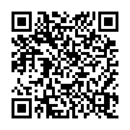 QR code for 509SFV