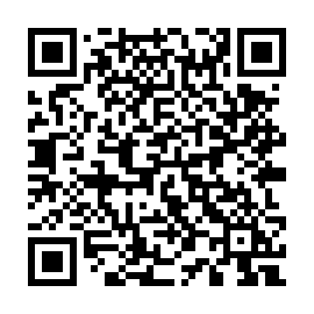 QR code for 509TZI