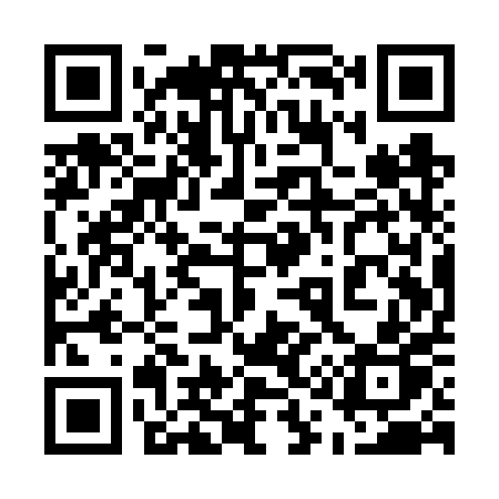 QR code for 511VPP
