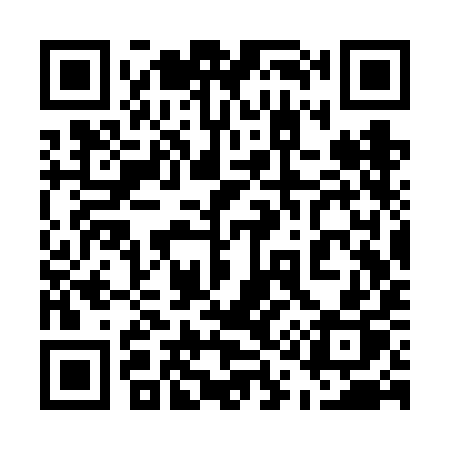 QR code for 513VIP