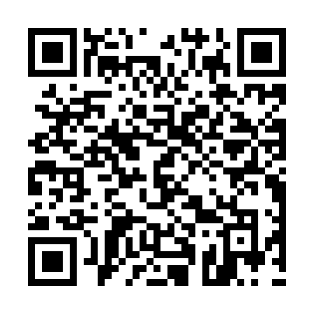 QR code for 517ILO