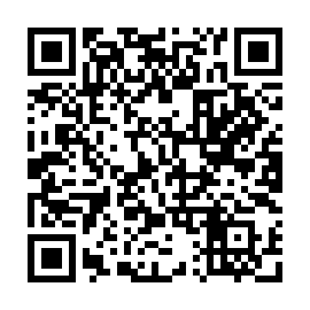 QR code for 519CIS