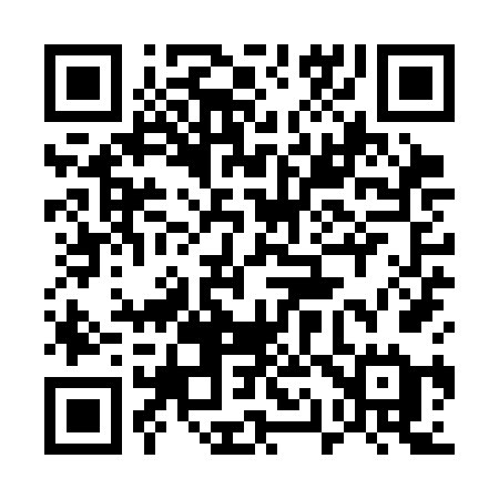 QR code for 519SFE