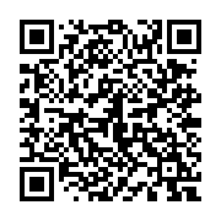 QR code for 520TEM