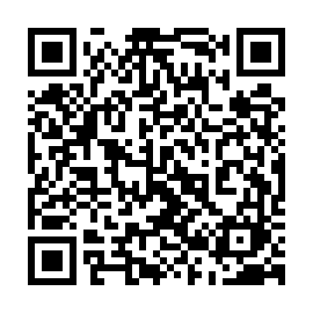 QR code for 521EVM