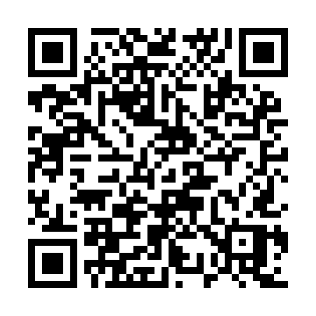 QR code for 538IEP
