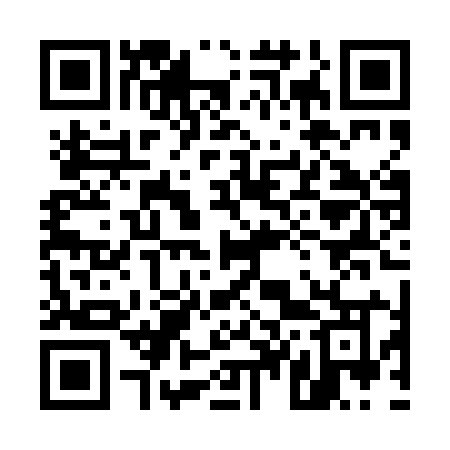 QR code for 540PIO