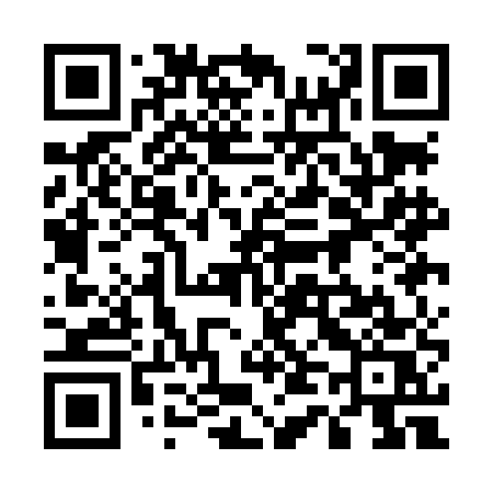 QR code for 541LES