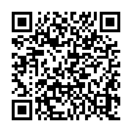 QR code for 541PLZ