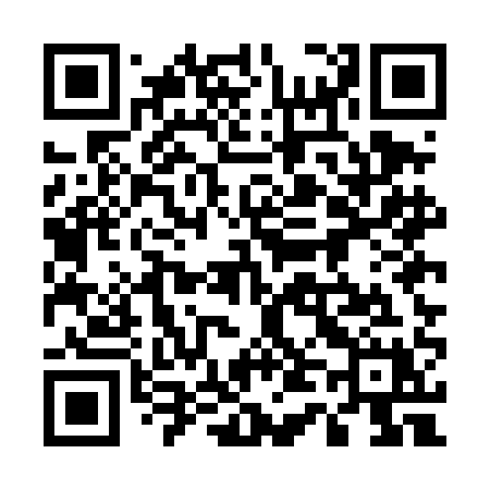 QR code for 545DAX