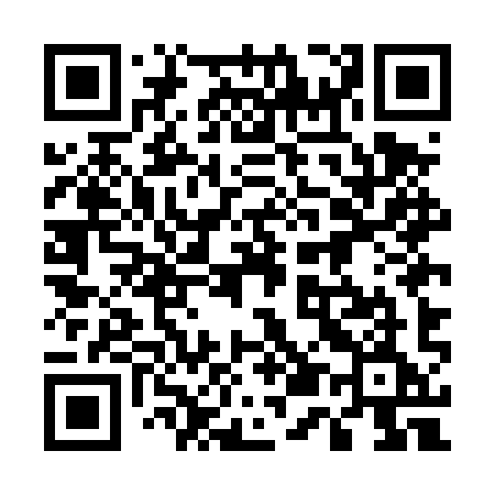 QR code for 555DYE