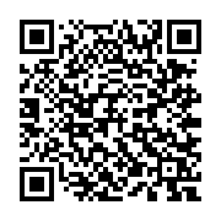 QR code for 555TLR