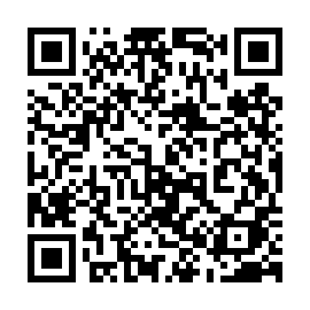 QR code for 589DPI