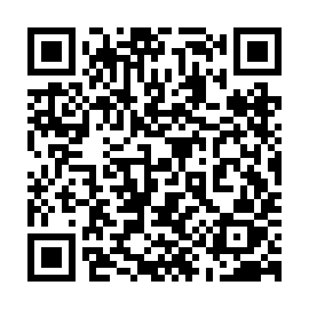 QR code for 593BIZ