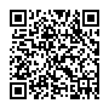 QR code for 593CZP