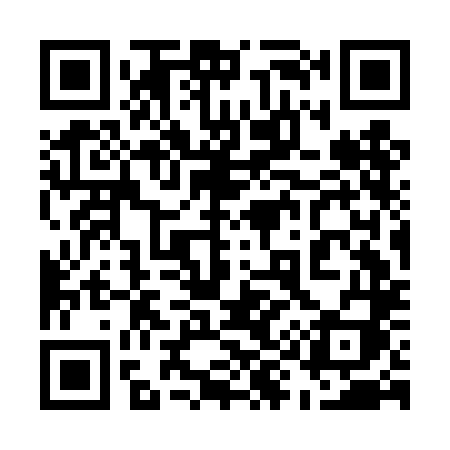 QR code for 593DLI