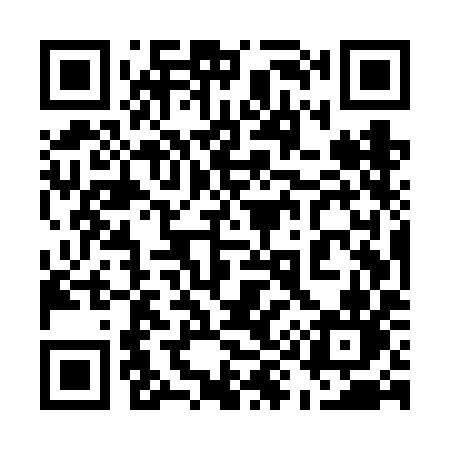 QR code for 595VIN