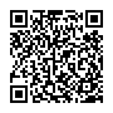 QR code for 599DIW