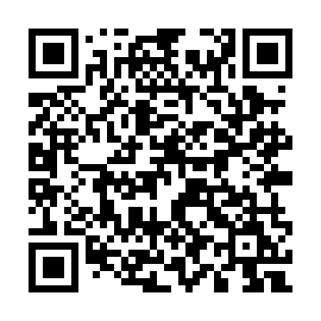 QR code for 599PMM