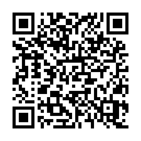 QR code for 603INT
