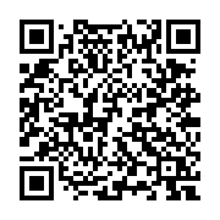 QR code for 603TER