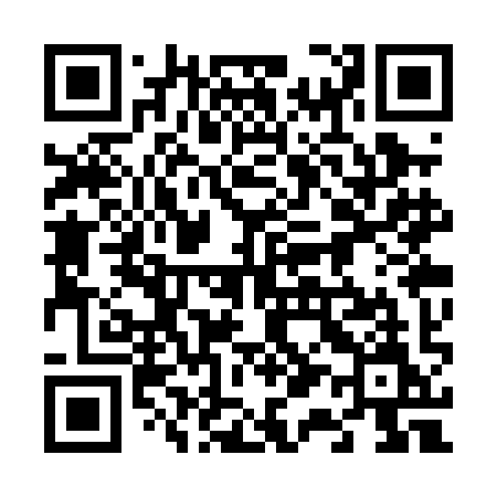QR code for 613PIM
