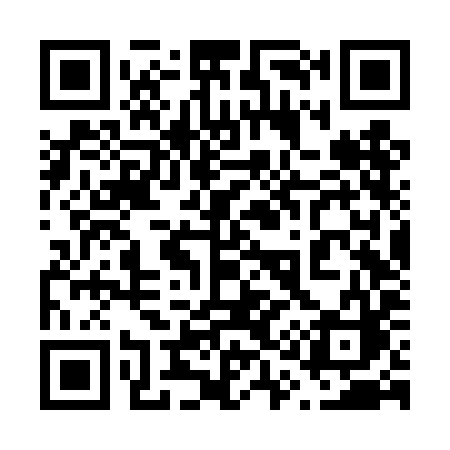 QR code for 616TIC
