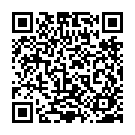 QR code for 617NIO