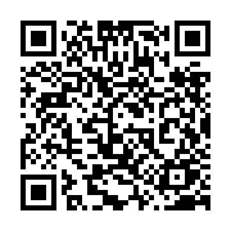 QR code for 617ZJU
