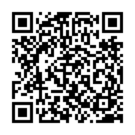 QR code for 629NES