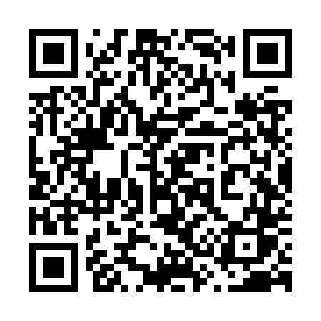 QR code for 636ZTS