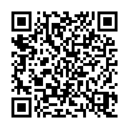 QR code for 638IPP