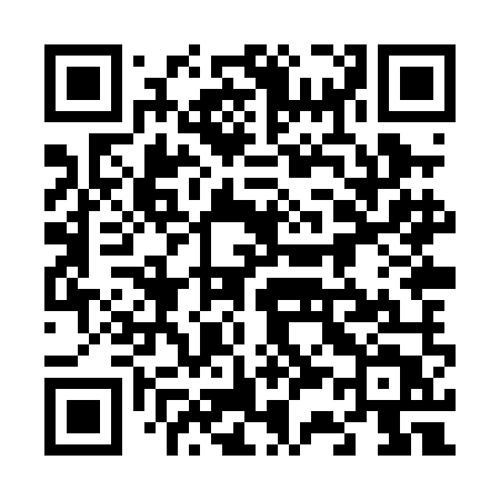 QR code for 638PMT