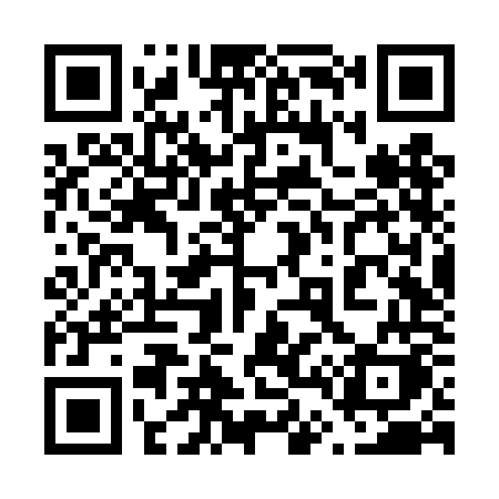 QR code for 646TOK