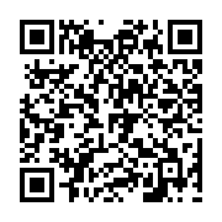QR code for 650SSA