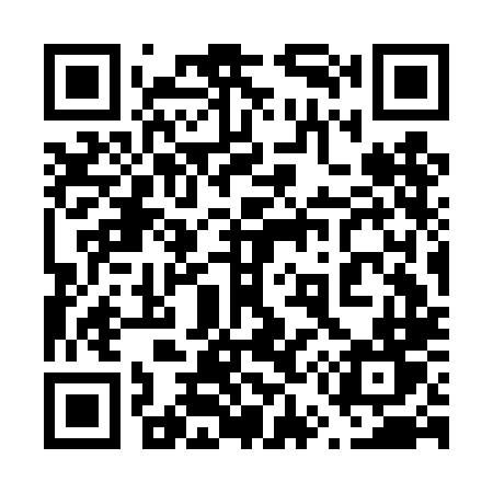 QR code for 653DLT